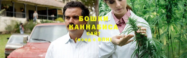 дмт Дмитровск