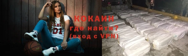 дмт Дмитровск