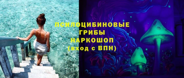 spice Дмитров